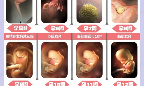男士生殖器上有痣好不好网 - 男人生殖上有痣是福气吗,男人生殖上有痣风水怎么说